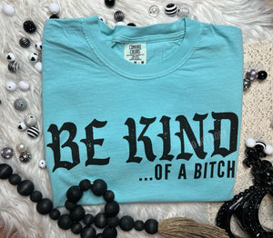 Be Kind of a Bitch T-Shirt or Sweatshirt