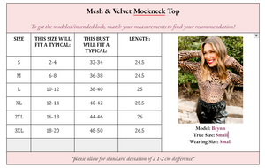 Mila Mesh & Velvet Mockneck Top